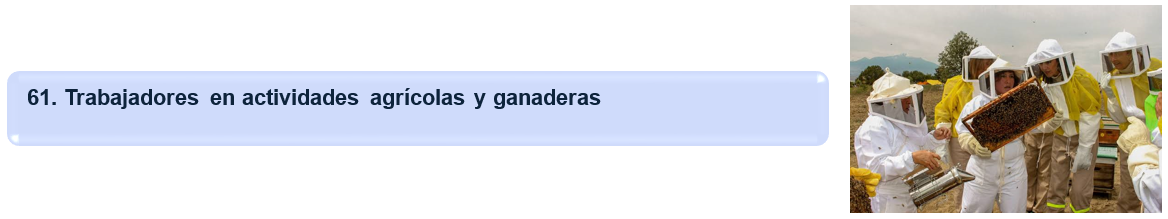 Service Name